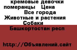 кремовые девочки померанцы › Цена ­ 30 000 - Все города Животные и растения » Собаки   . Башкортостан респ.